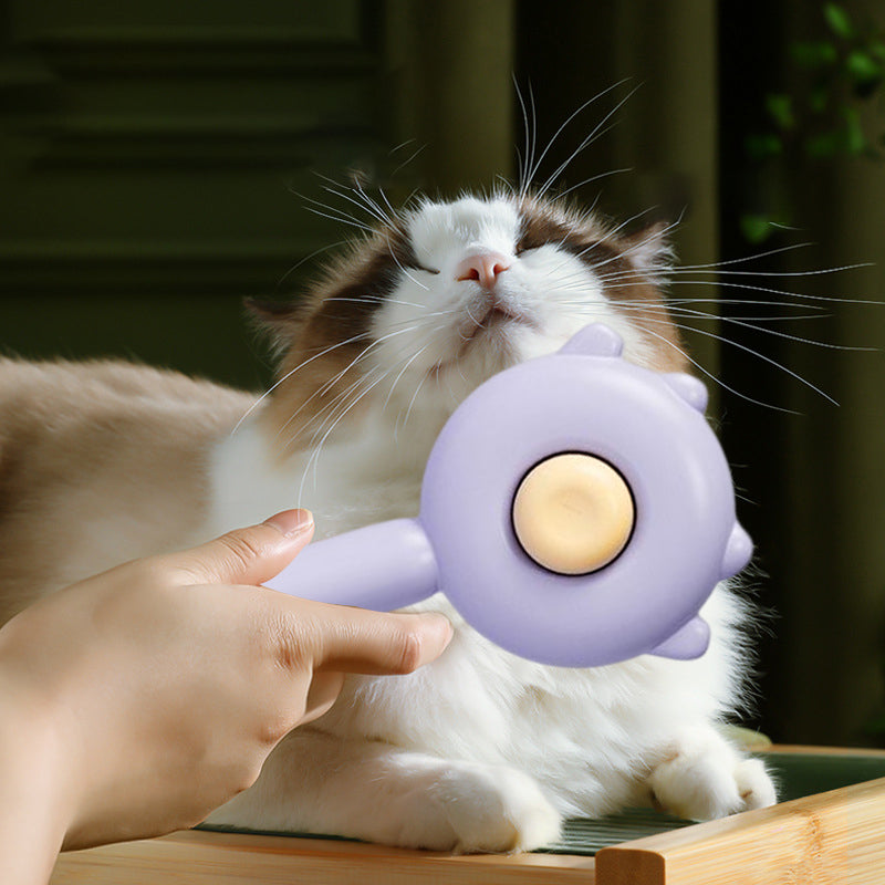 Pet Grooming Brush with Retractable Bristles - Pumpkin Design
