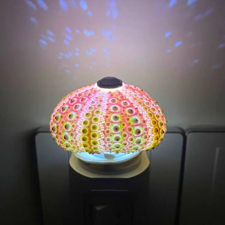 DIY Table Lamp with Natural Sea Urchin Shell and Gold Base