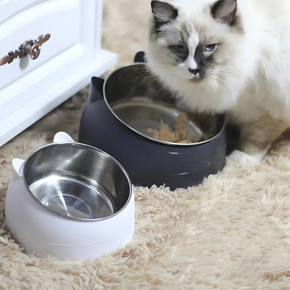 Tilted Stainless Steel Cat Feeding Bowl with Non-Slip Base