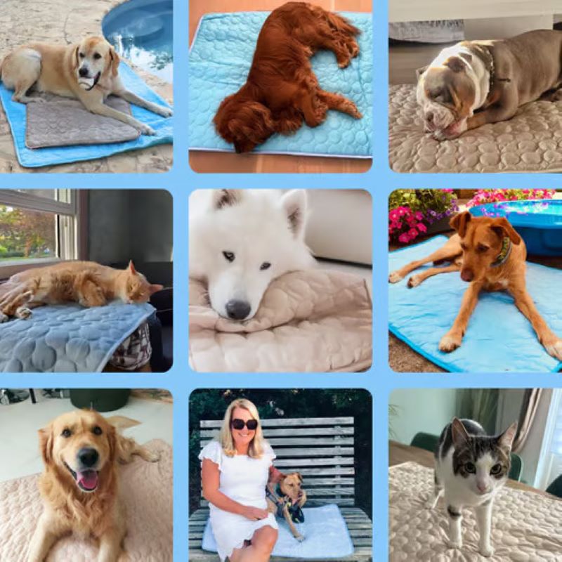 Cooling Mat for Dogs - Gel-Free Summer Pet Pad