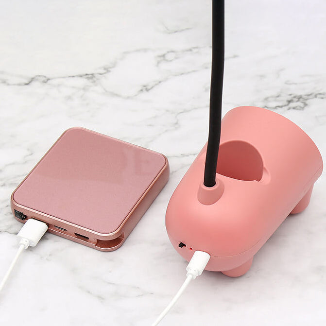 Cute LED Desk Lamp with Pen Holder and USB Connection