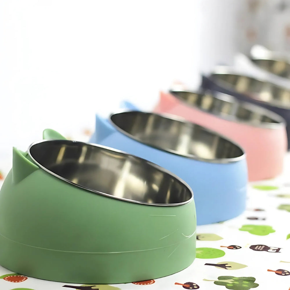Tilted Stainless Steel Cat Feeding Bowl with Non-Slip Base