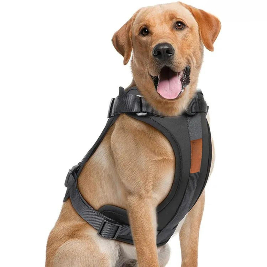 ComfyPaws No-Pull Dog Harness Walking Set with Leash and Poop Bag Holder