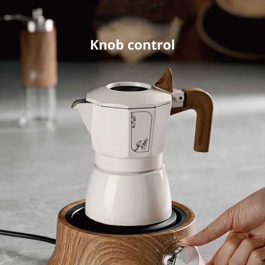 Compact Electric Hot Plate with Adjustable Temperature Control