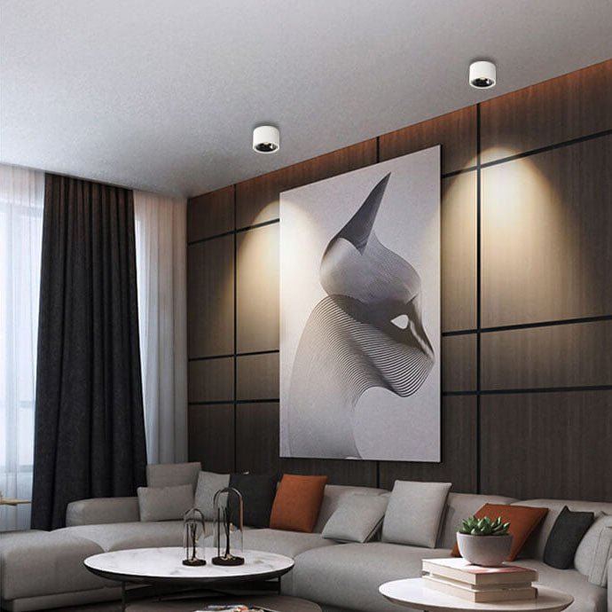 Adjustable Minimalist LED Recessed Ceiling Light in Black or White