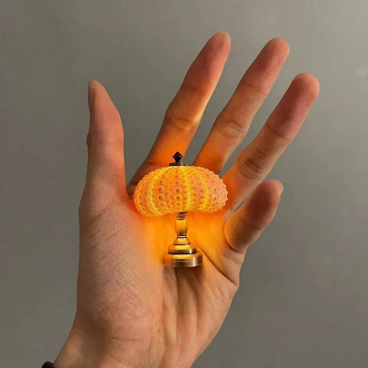 DIY Table Lamp with Natural Sea Urchin Shell and Gold Base