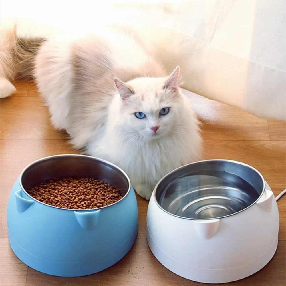 Tilted Stainless Steel Cat Feeding Bowl with Non-Slip Base