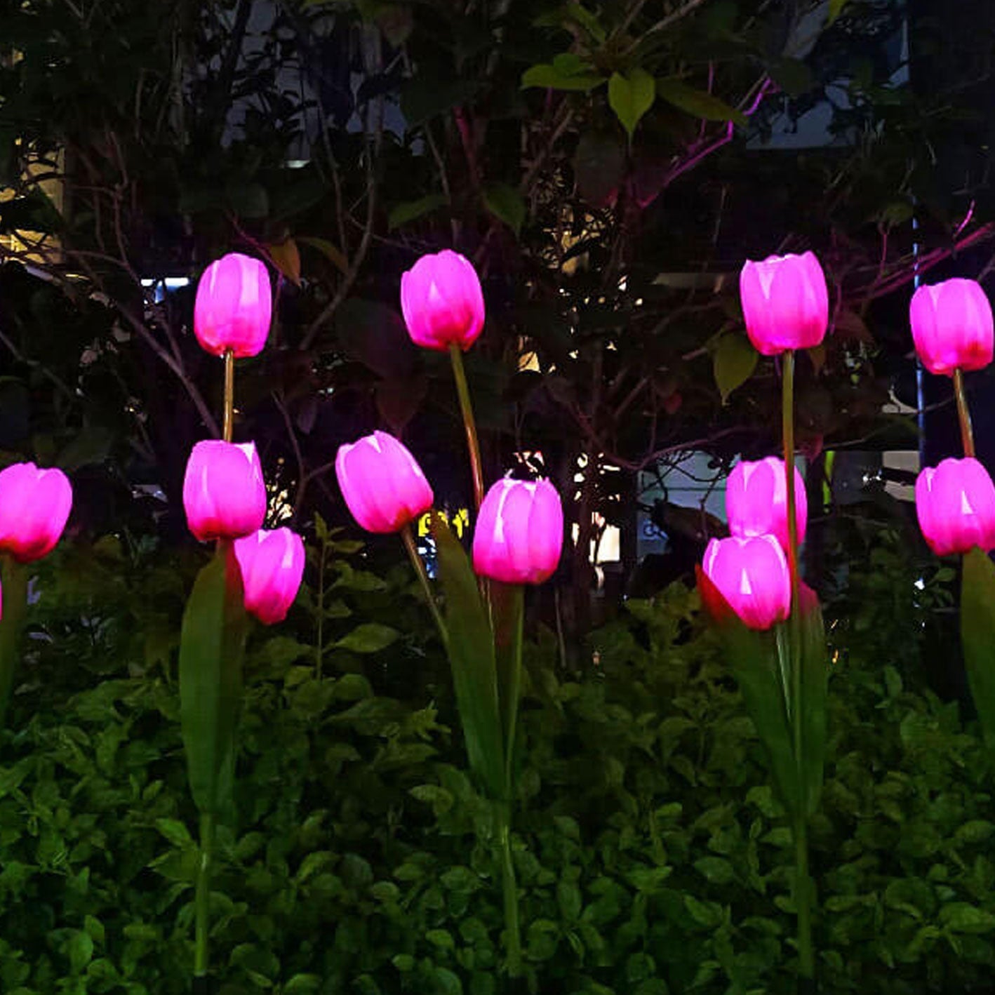 Solar LED Tulip Flower Garden Light Stake - Pink & Green