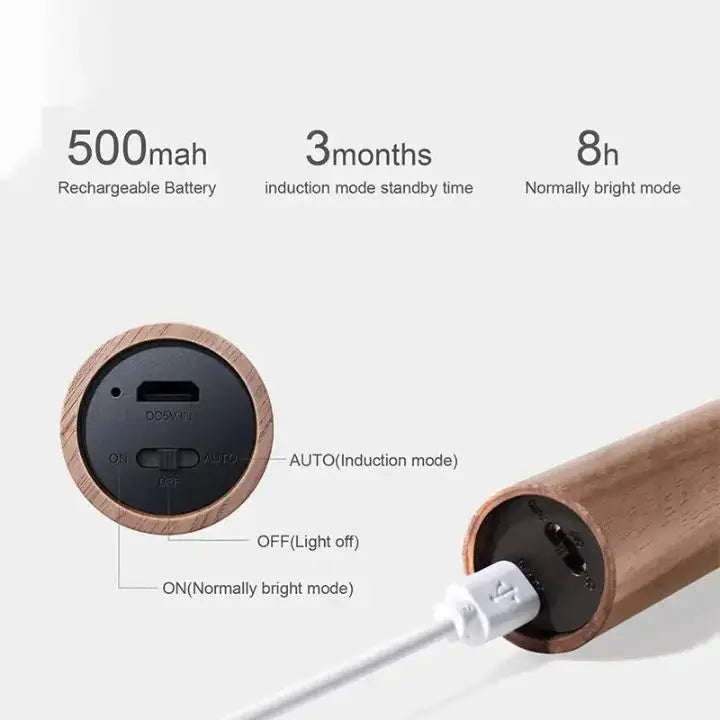 Portable LED Motion Sensor Night Light with USB Recharge