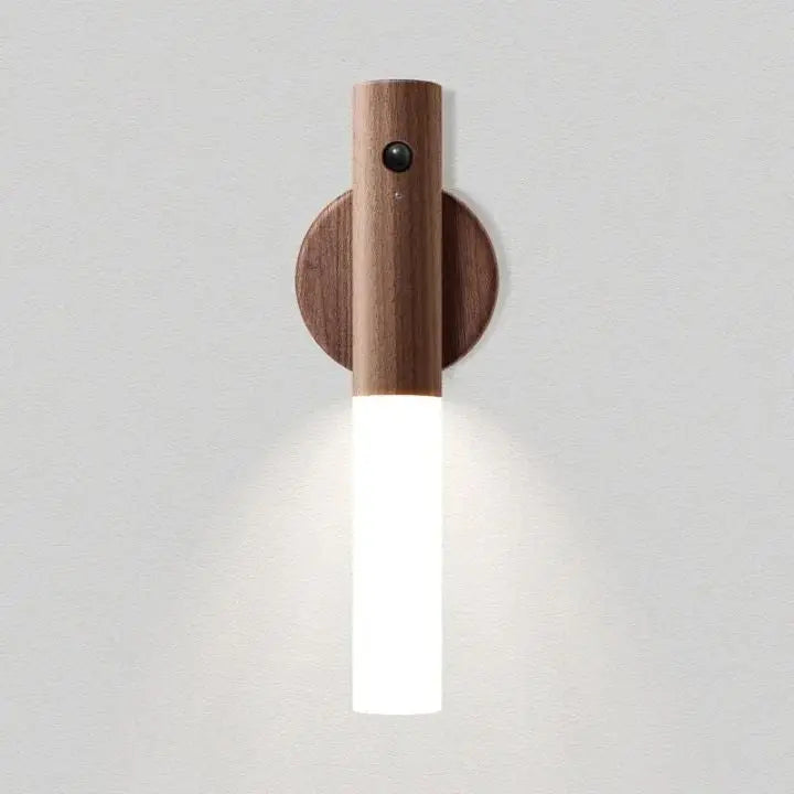 Portable LED Motion Sensor Night Light with USB Recharge