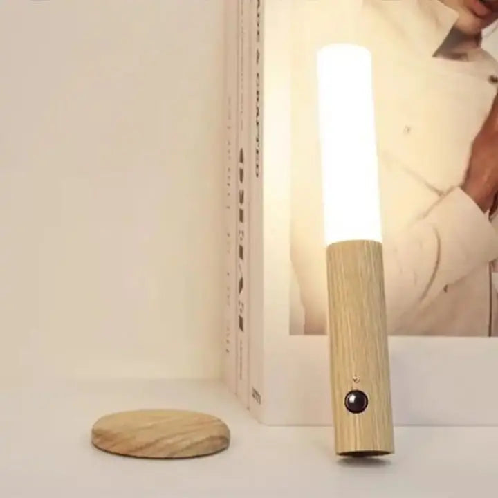 Portable LED Motion Sensor Night Light with USB Recharge