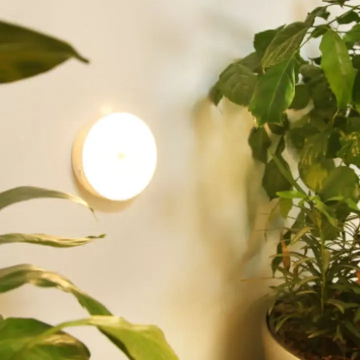 Rechargeable Motion Sensor LED Night Light