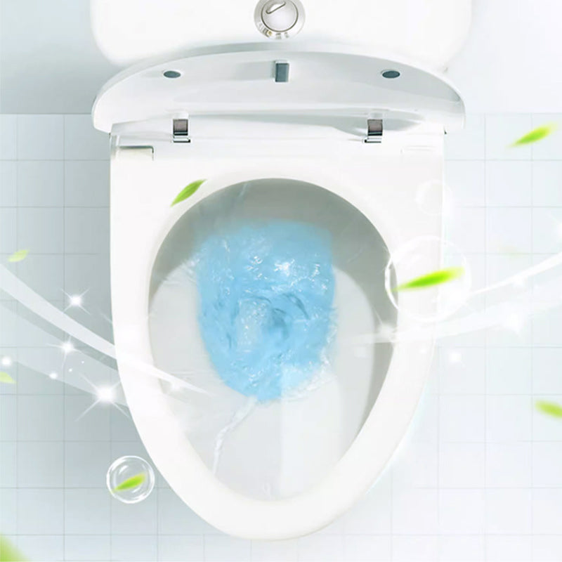 Powerful Toilet Cleaner with Oxalic Acid for Stain Removal and Odor Control