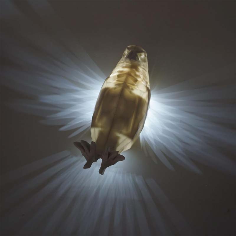 Owl or Eagle Night Light Wall Decor