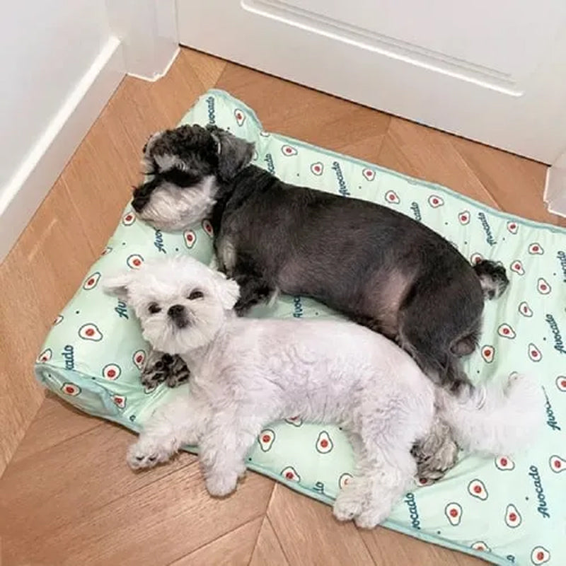 Ice Silk Cooling Mat with Pillow for Small Dogs and Cats