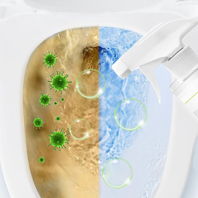 Powerful Toilet Cleaner with Oxalic Acid for Stain Removal and Odor Control