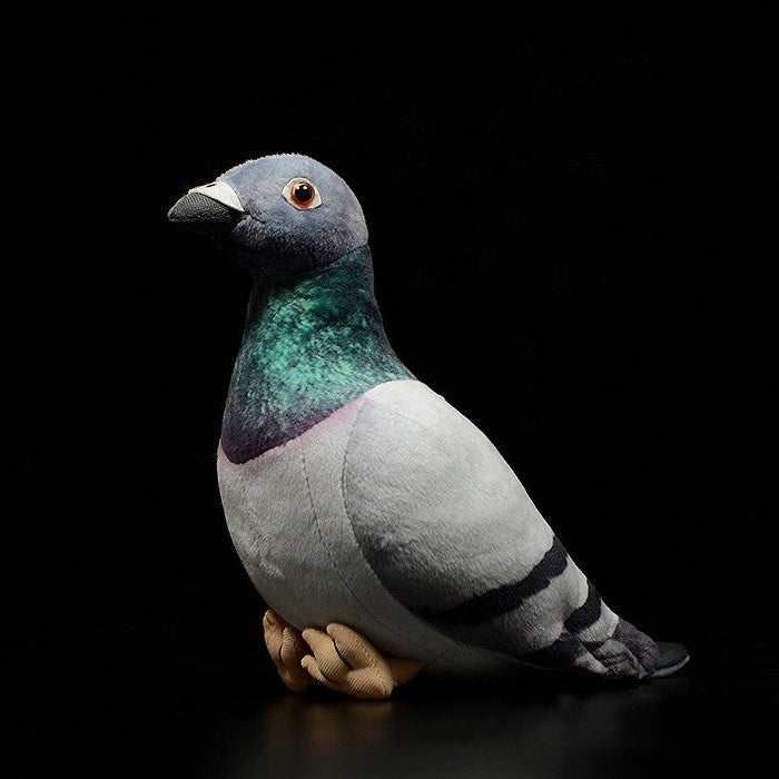 Common Pigeon Plush Stuffed Toy for Kids