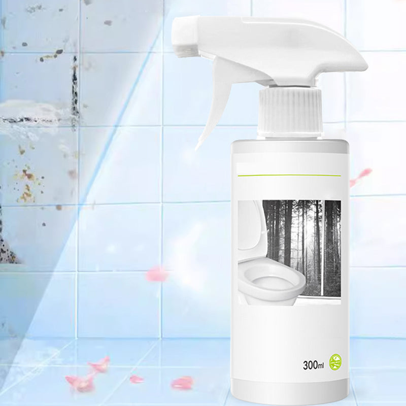 Powerful Toilet Cleaner with Oxalic Acid for Stain Removal and Odor Control