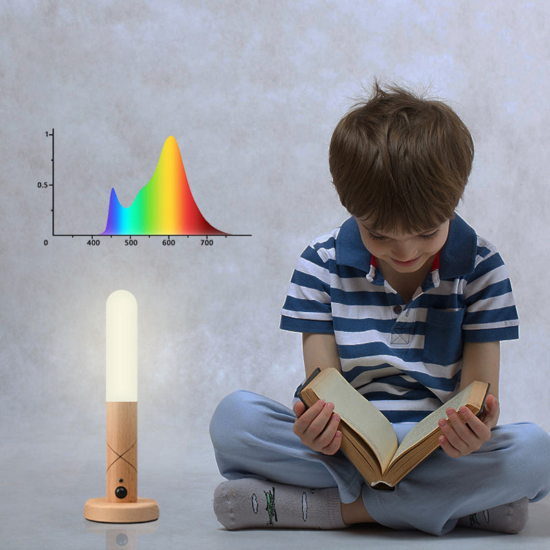 Rechargeable Motion Sensor Night Light with Magnetic Mount