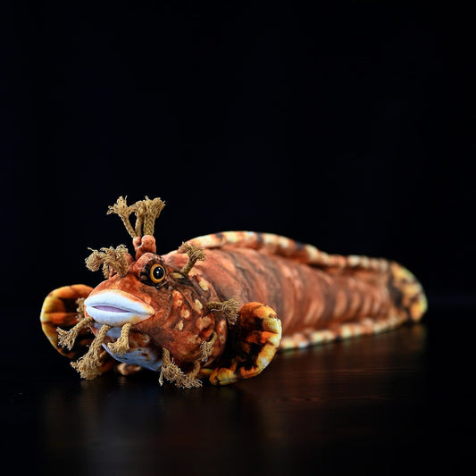 Japanese Warbonnet Fish Soft Stuffed Plush Toy