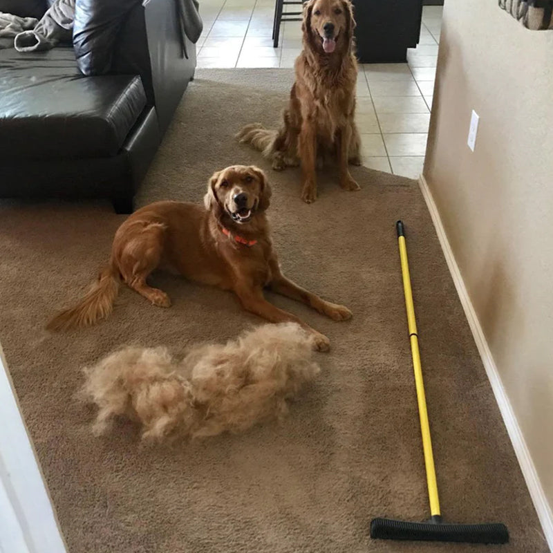 Telescopic Rubber Pet Hair Removal Broom