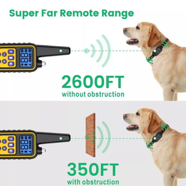 Electric Waterproof Dog Training Collar with Remote Control