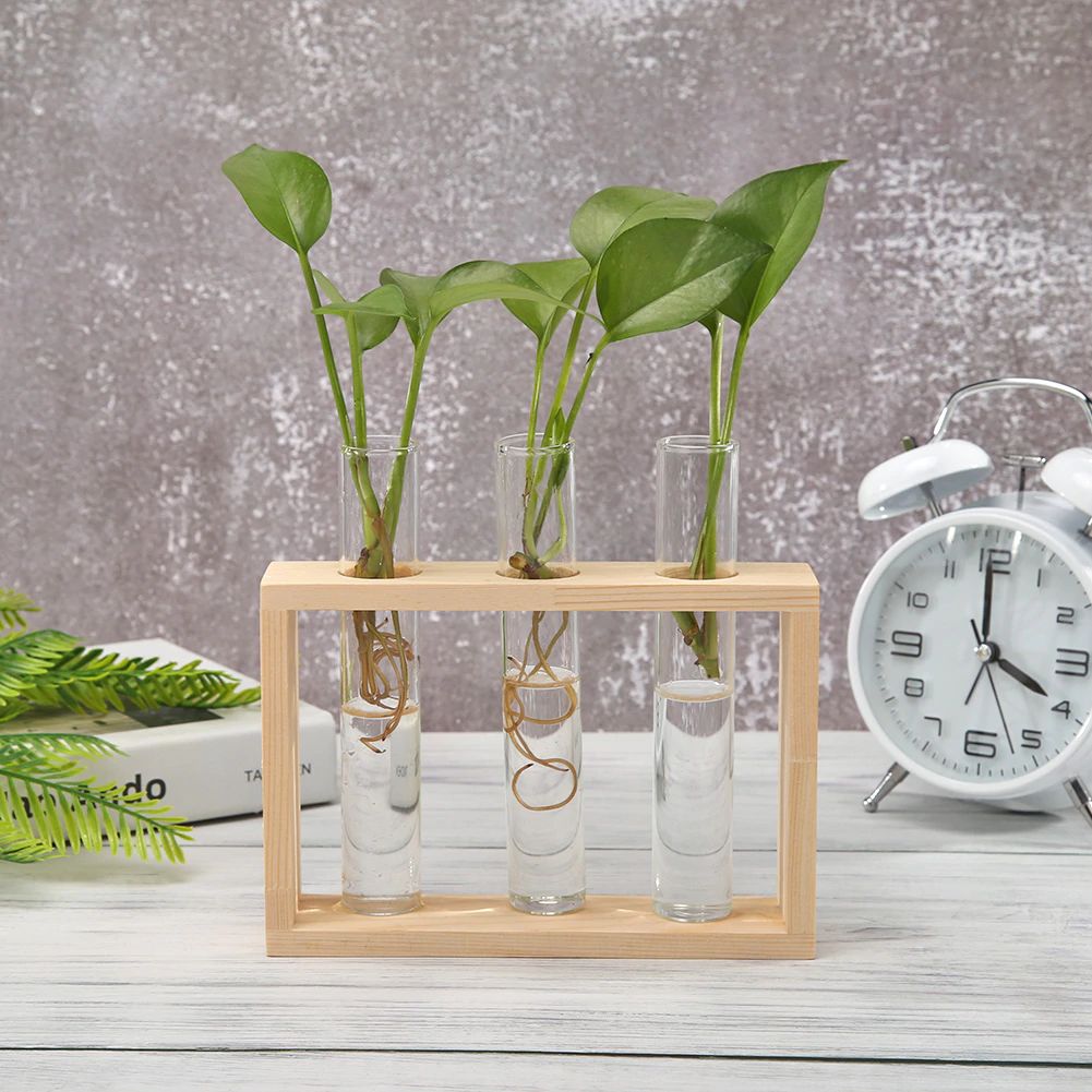 Glass Test Tube Vase with Wooden Stand - Dark Academia Decor