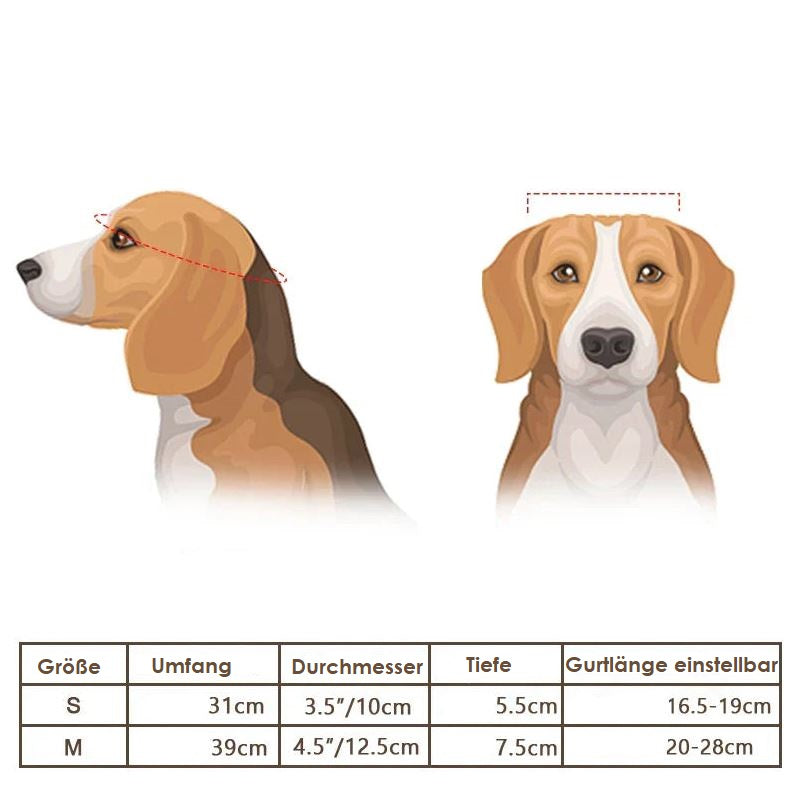 Motorcycle Helmet and Goggles for Dogs - Stylish and Safe Protection