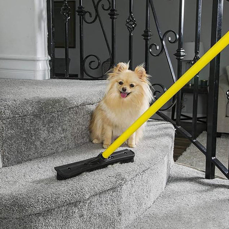 Telescopic Rubber Pet Hair Removal Broom
