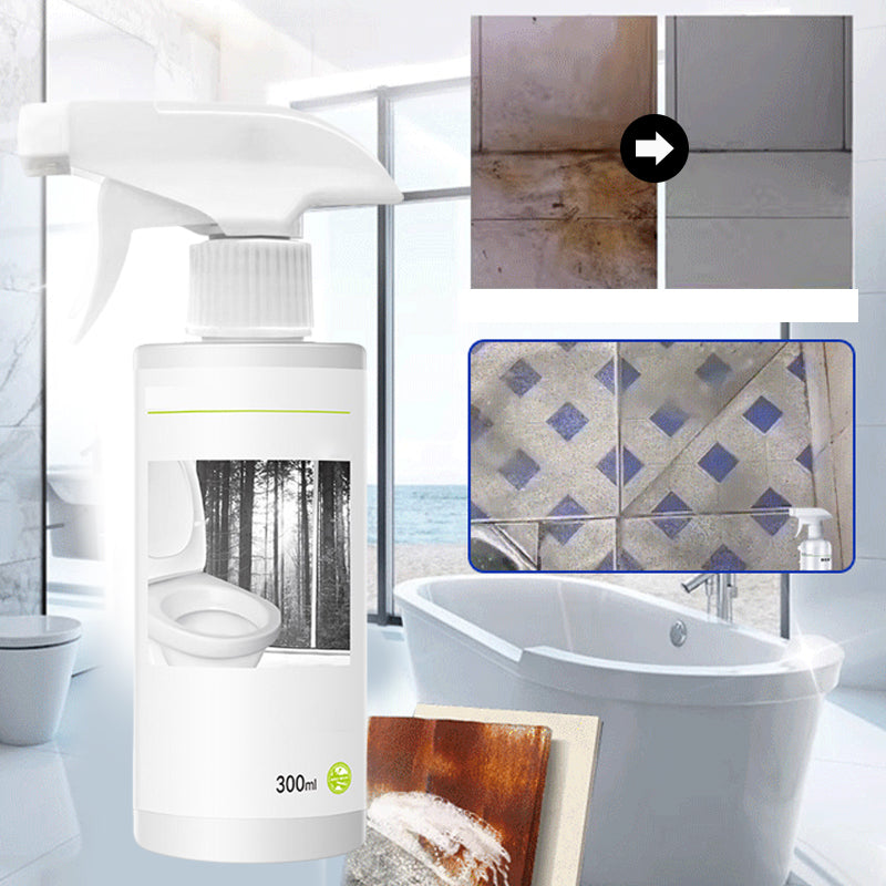 Powerful Oxalic Acid Toilet Cleaner for Stains and Odor Removal