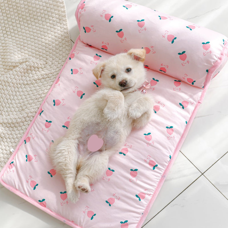 Ice Silk Cooling Mat with Pillow for Dogs and Cats