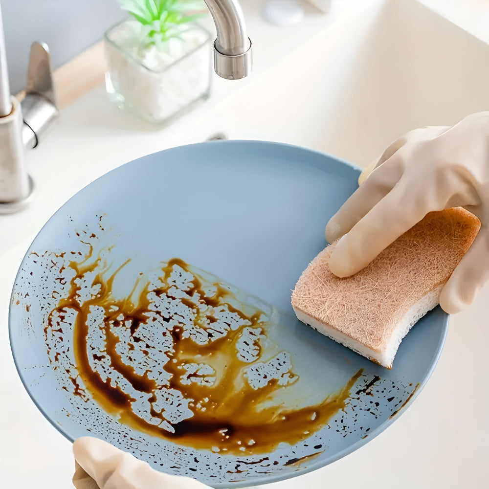 Eco-Friendly Coconut Fiber Dish Sponge
