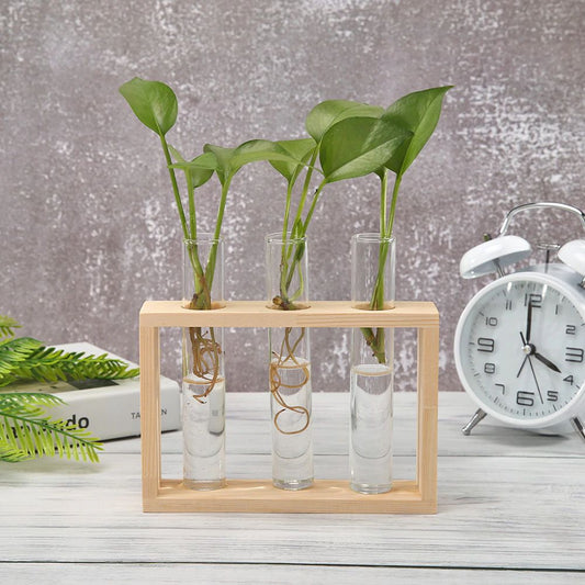 Glass Test Tube Vase with Wooden Stand for Dark Academia Decor