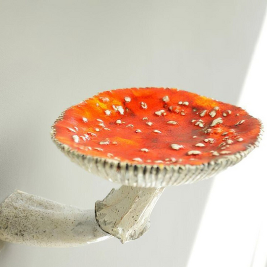 Floating Mushroom Wall Shelf - Colorful Resin Decor