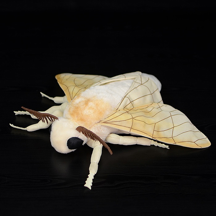 Silk Moth Plush Stuffed Toy for Ages 3+
