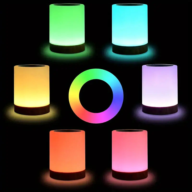 Dimmable Adjustable LED Night Light with Color Transition