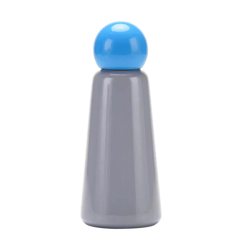 Insulated Stainless Steel Water Bottle 17 oz with Leak-proof Cap, 12-Hour Hot & 24-Hour Cold