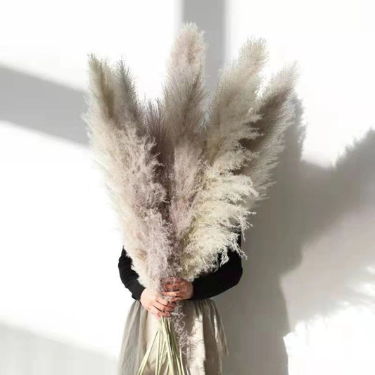 Dried Pampas Grass Flowers - Natural Boho Decor