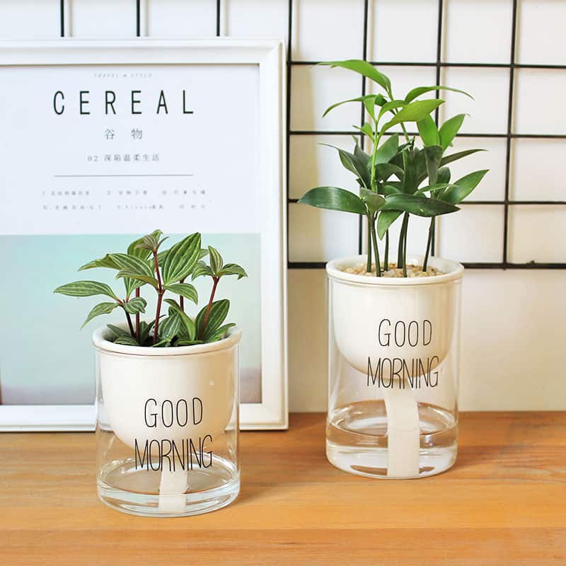 Self-Watering Eco-Friendly Flower Pot with Cotton Wick