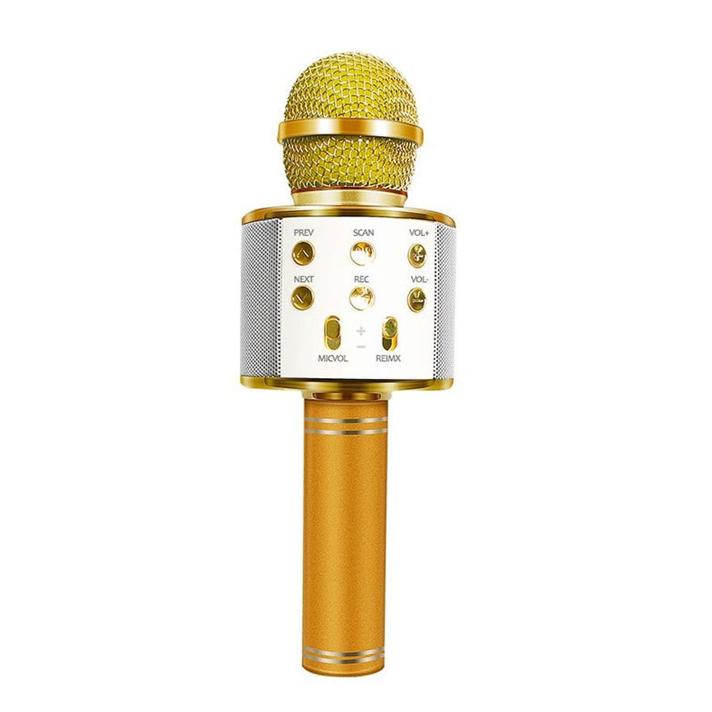 Rechargeable Bluetooth Karaoke Microphone with Built-In Speaker and Noise Cancellation