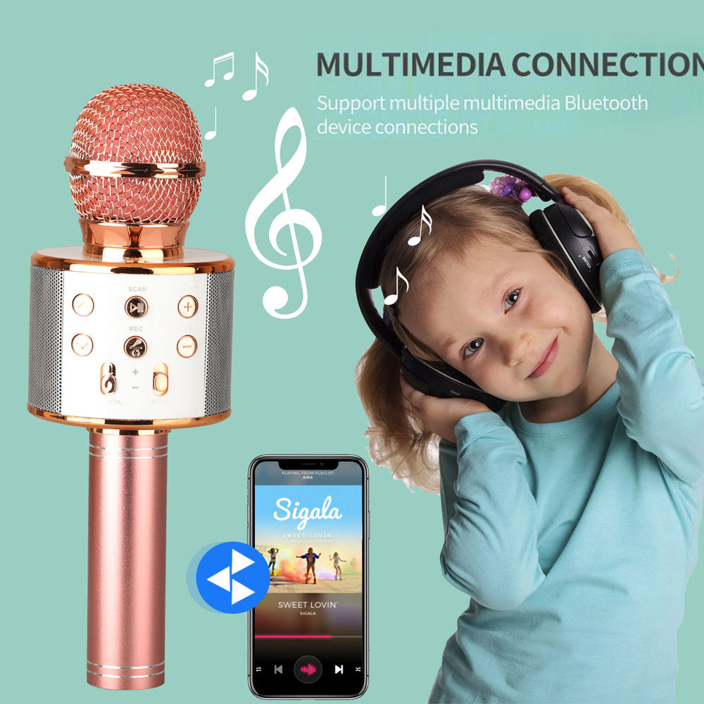 Rechargeable Bluetooth Karaoke Microphone with Built-In Speaker and Noise Cancellation