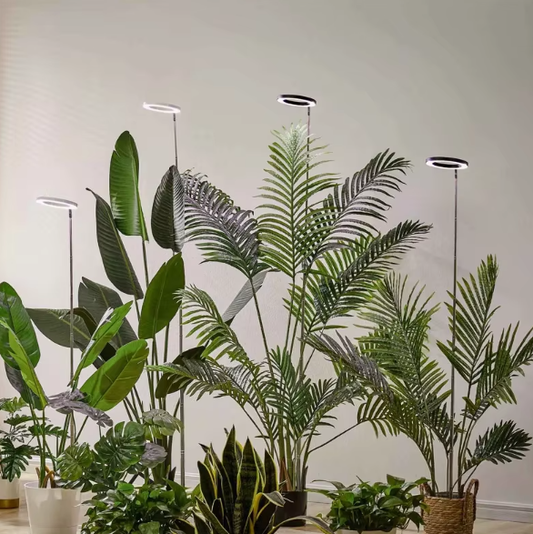 Full Spectrum Adjustable Grow Light for Indoor Plants