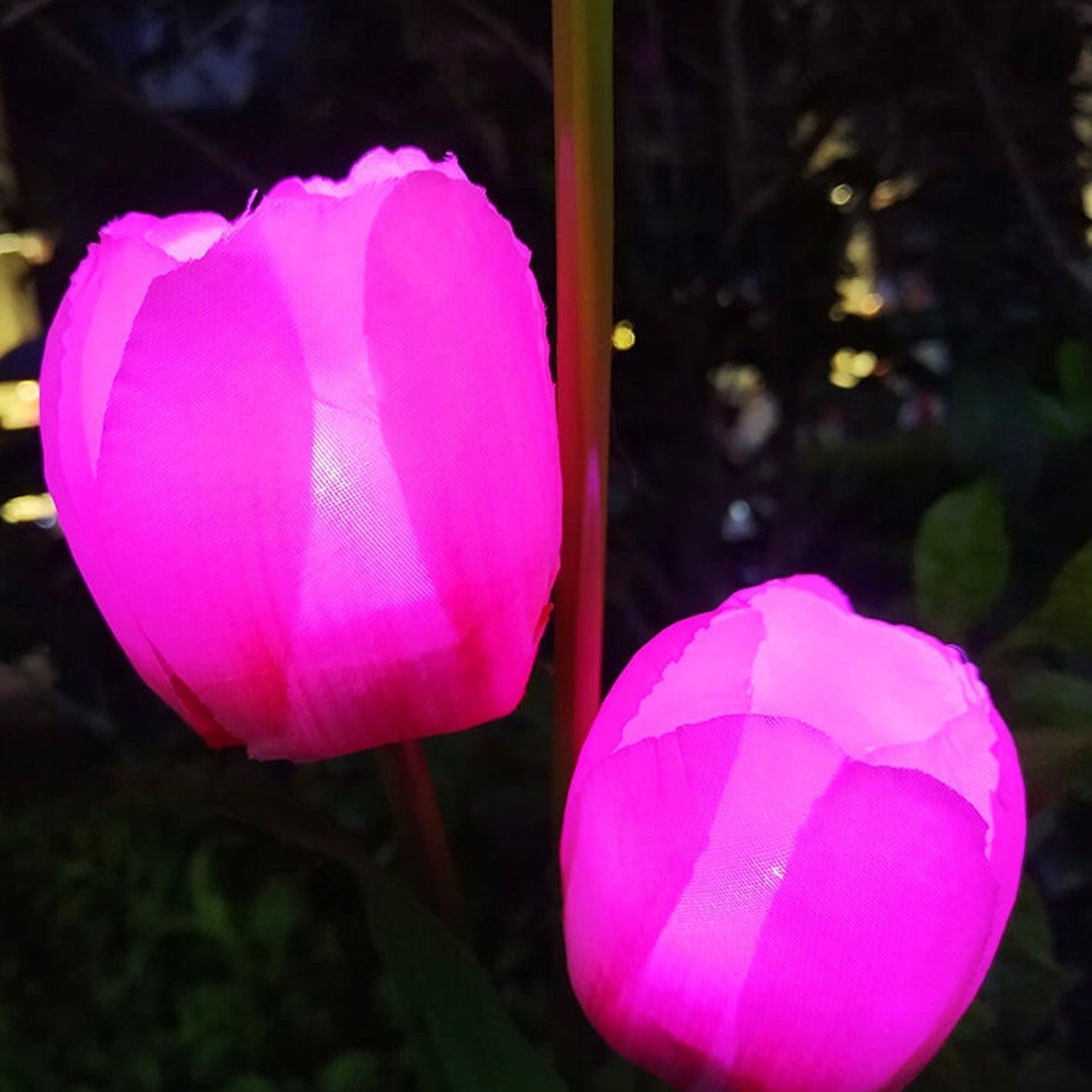 Solar LED Tulip Flower Garden Light Stake - Pink & Green