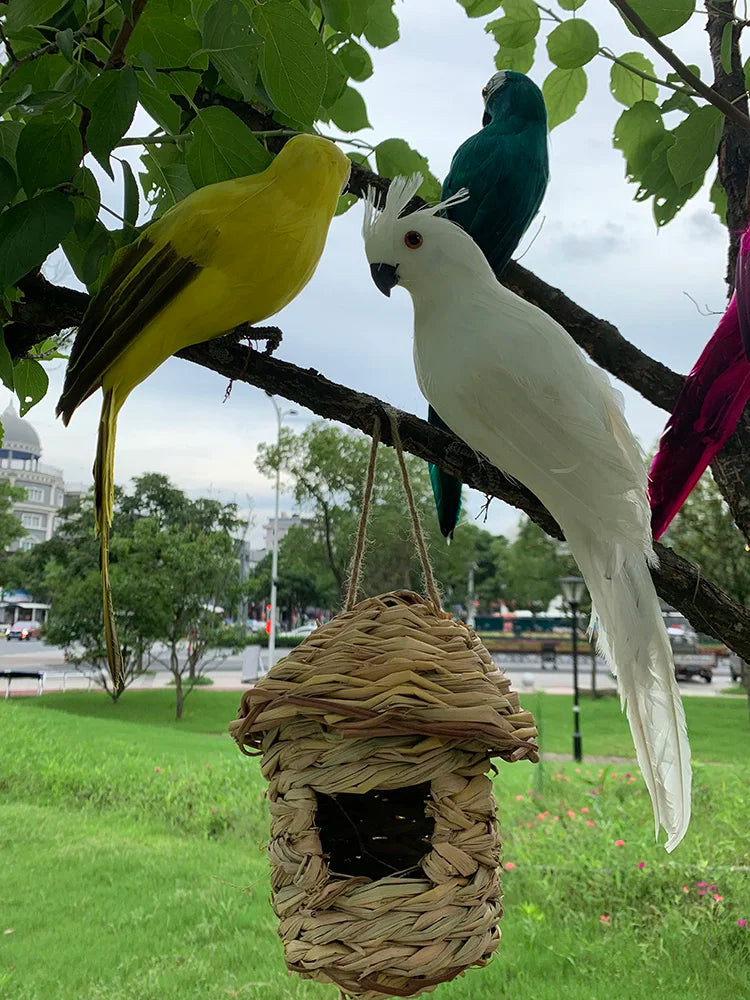 Vibrant Tropical Parrot Garden Decoration
