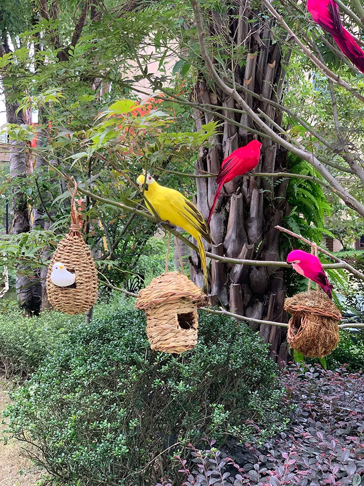 Vibrant Tropical Parrot Garden Decoration