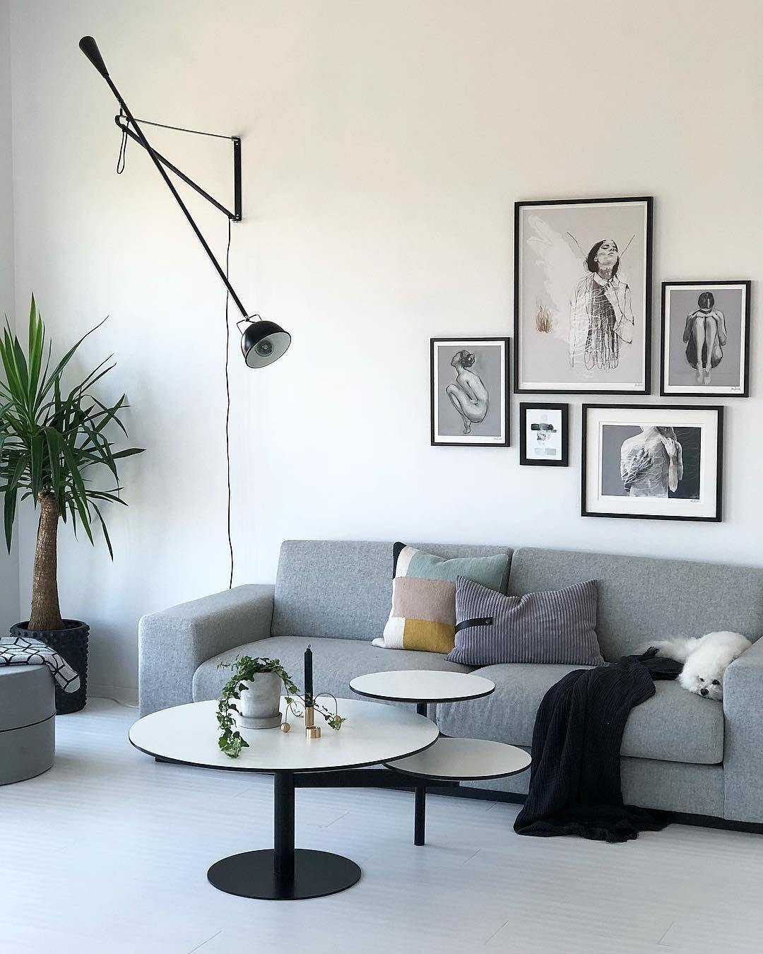 Adjustable Industrial Wall Lamp with Metal Shade