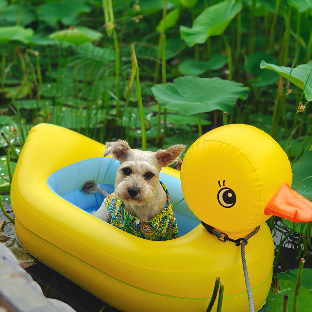 Inflatable Duck Floating Ring for Small Dogs