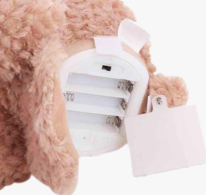 Interactive Peek-A-Boo Bear with Movable Arms and Blanket