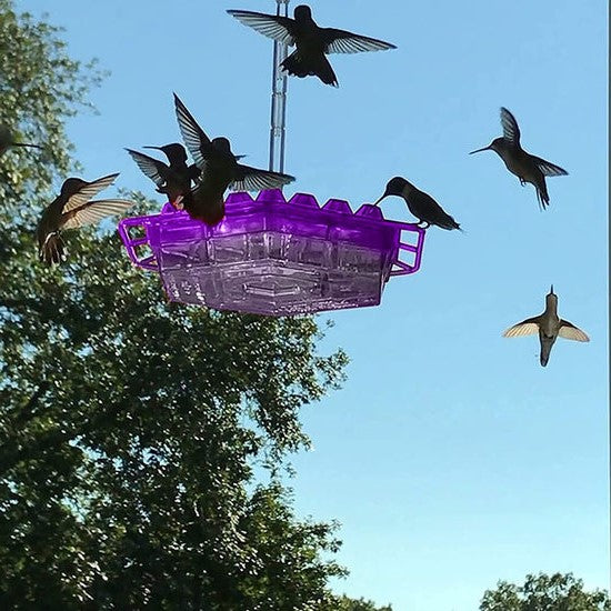 Outdoor Hanging Hummingbird Feeder with 30 Ports, UV Resistant