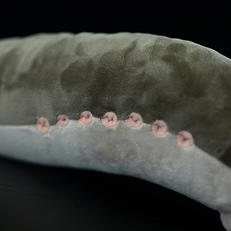Sea Lamprey Plush Stuffed Toy 20.5 Inch